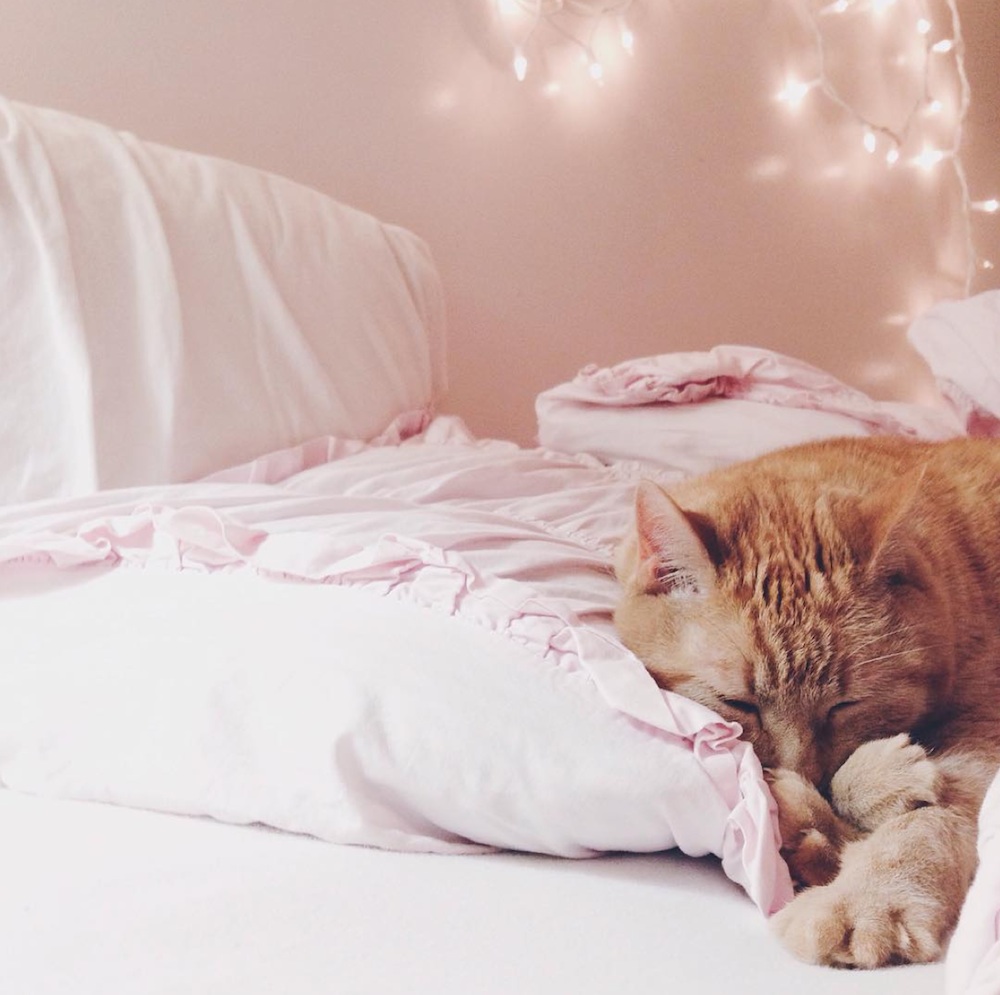 CollegeDormista—Seven Beds That Make The Struggle To Wake Up Real 9 Screen Shot 2016-01-13 at 2.33