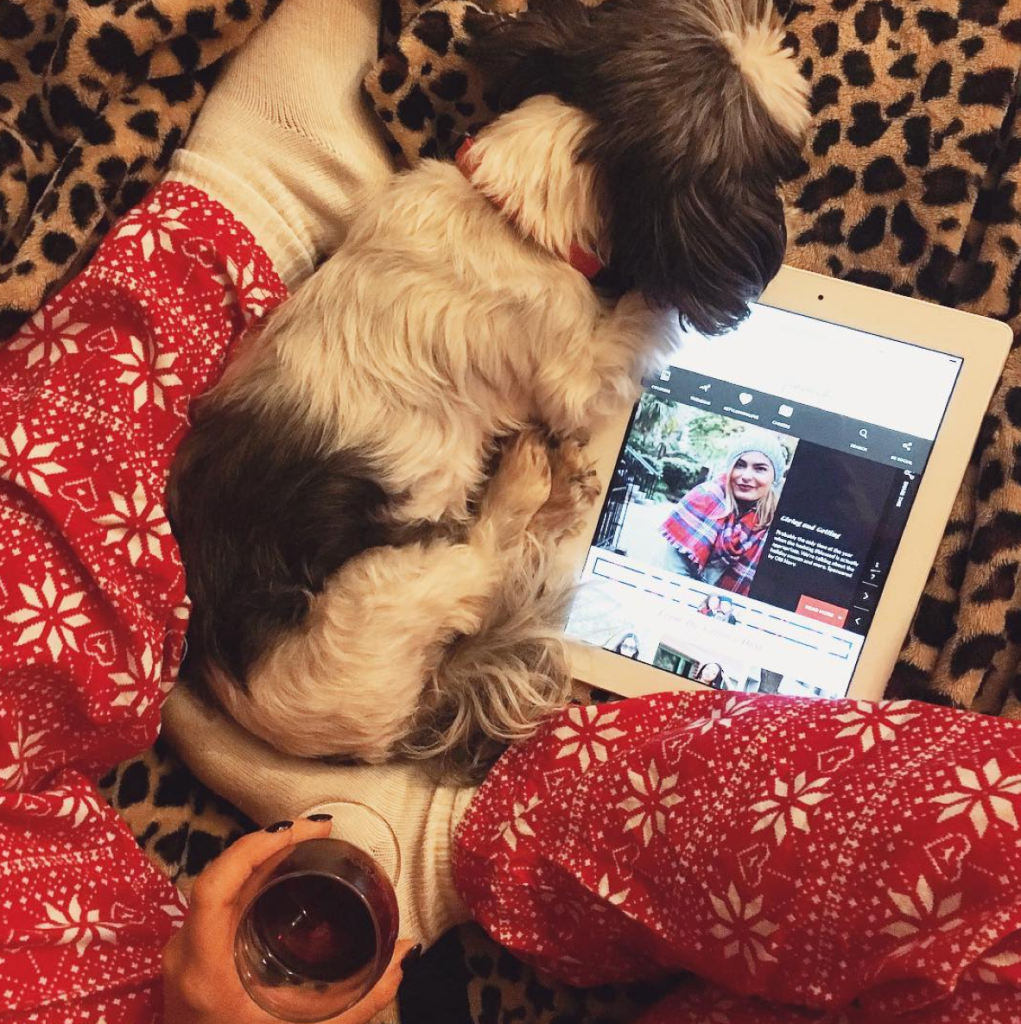 12 of the Cutest Cats and Dogs to Celebrate "Love Your Pet Day" 21 Screen Shot 2016-02-18 at 10.51.15 AM