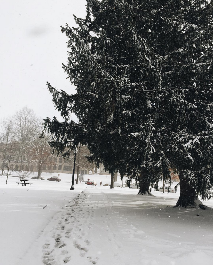 Screen Shot 2016-02-23 at 1.56.38 PM