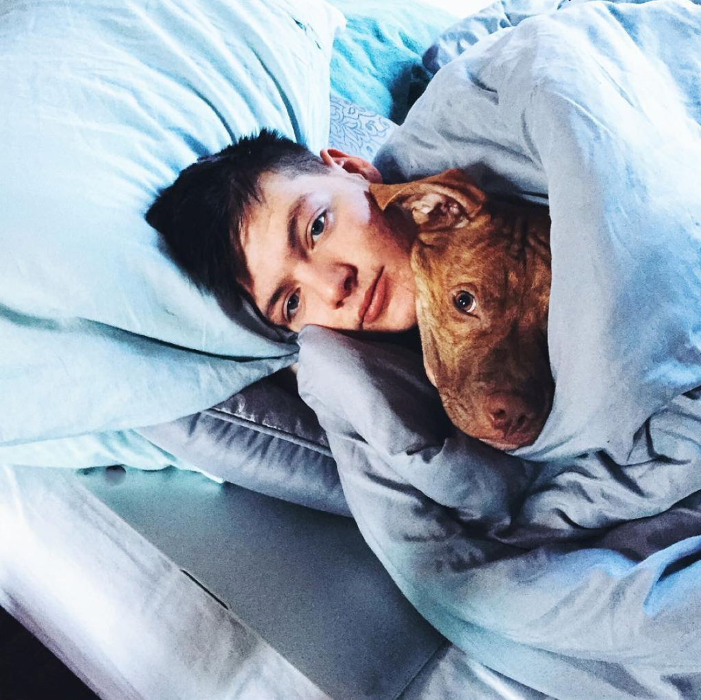 Seven Comfy Beds That Make 8 ams Even Worse 9 Screen Shot 2016-03-07 at 1.43.23 PM