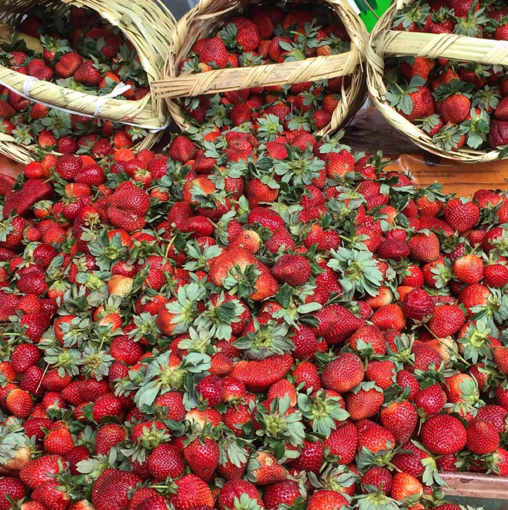 Screen Shot 2016-03-09 at 4.35.22 PM