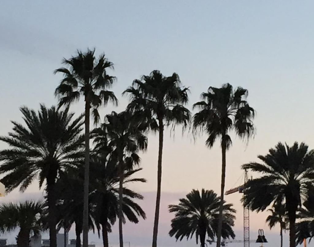 Screen Shot 2016-03-15 at 2.52.41 PM