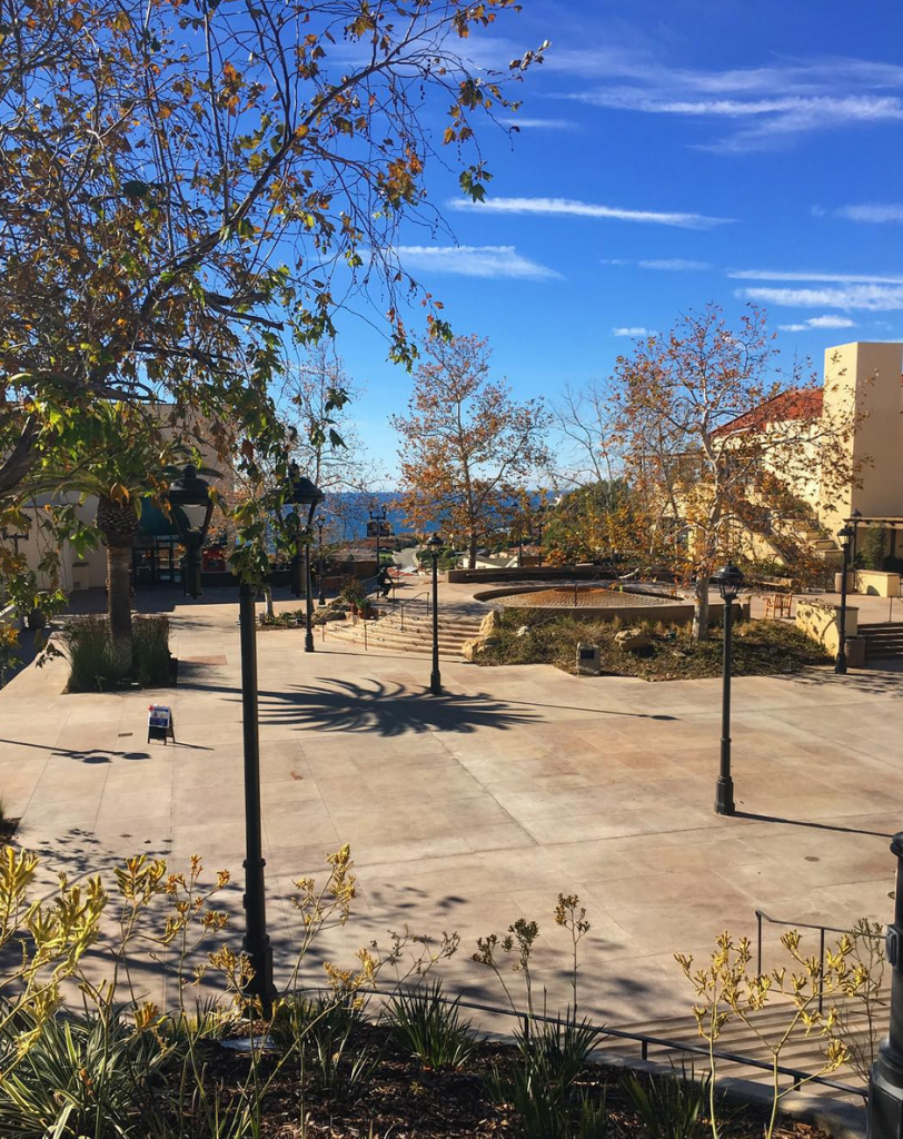 15 College Campuses That Are Pretty Much A Vacation 21 Screen Shot 2016-03-17 at 11.50.53 AM