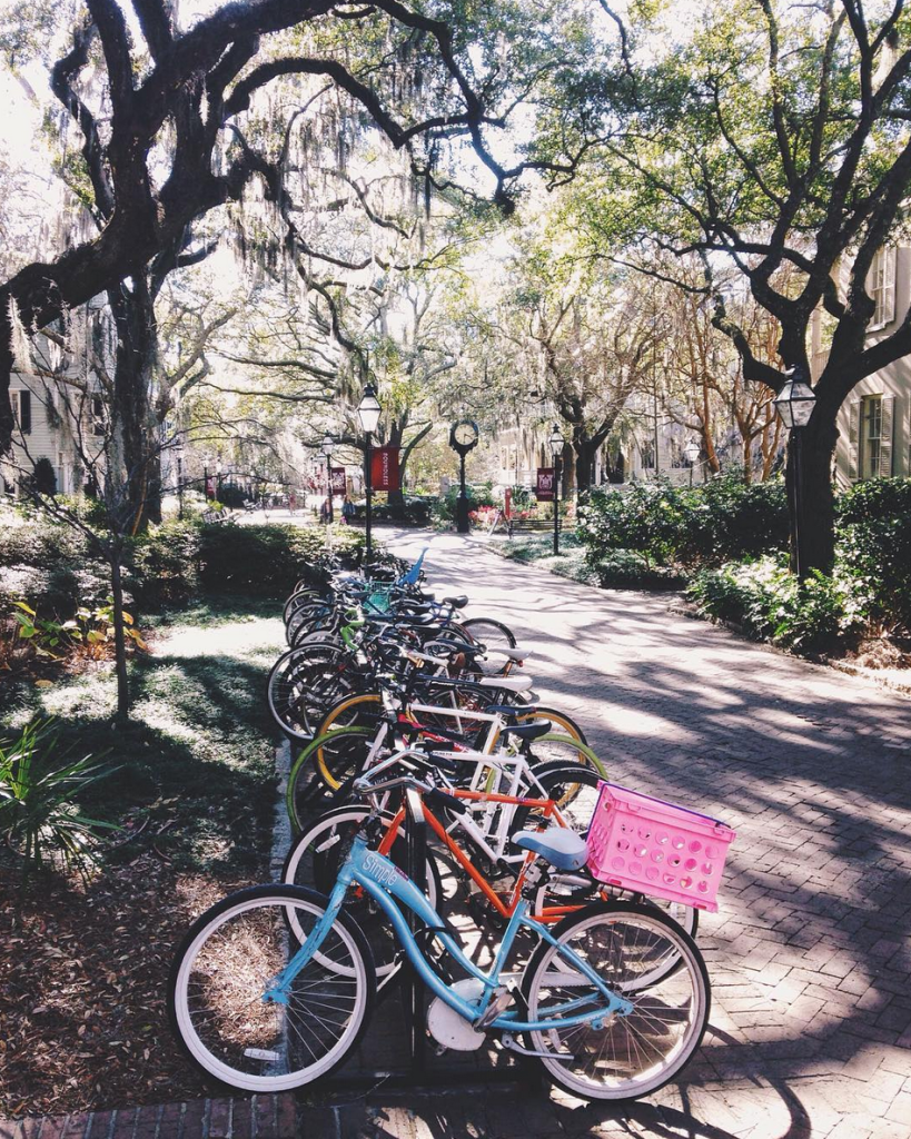 15 College Campuses That Are Pretty Much A Vacation 23 Screen Shot 2016-03-17 at 11.51.08 AM