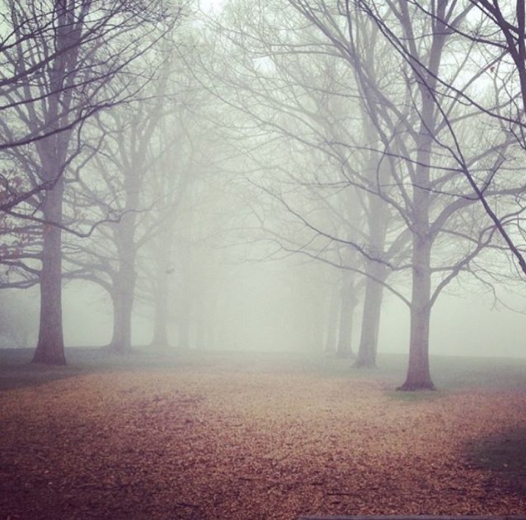 15 College Campuses That Are Pretty Much A Vacation 25 Screen Shot 2016-03-17 at 11.51.25 AM