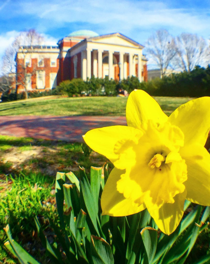 15 College Campuses That Are Pretty Much A Vacation 26 Screen Shot 2016-03-17 at 11.51.35 AM