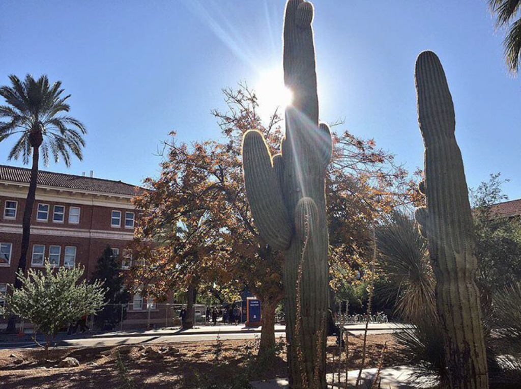 15 College Campuses That Are Pretty Much A Vacation 31 Screen Shot 2016-03-17 at 12.06.54 PM