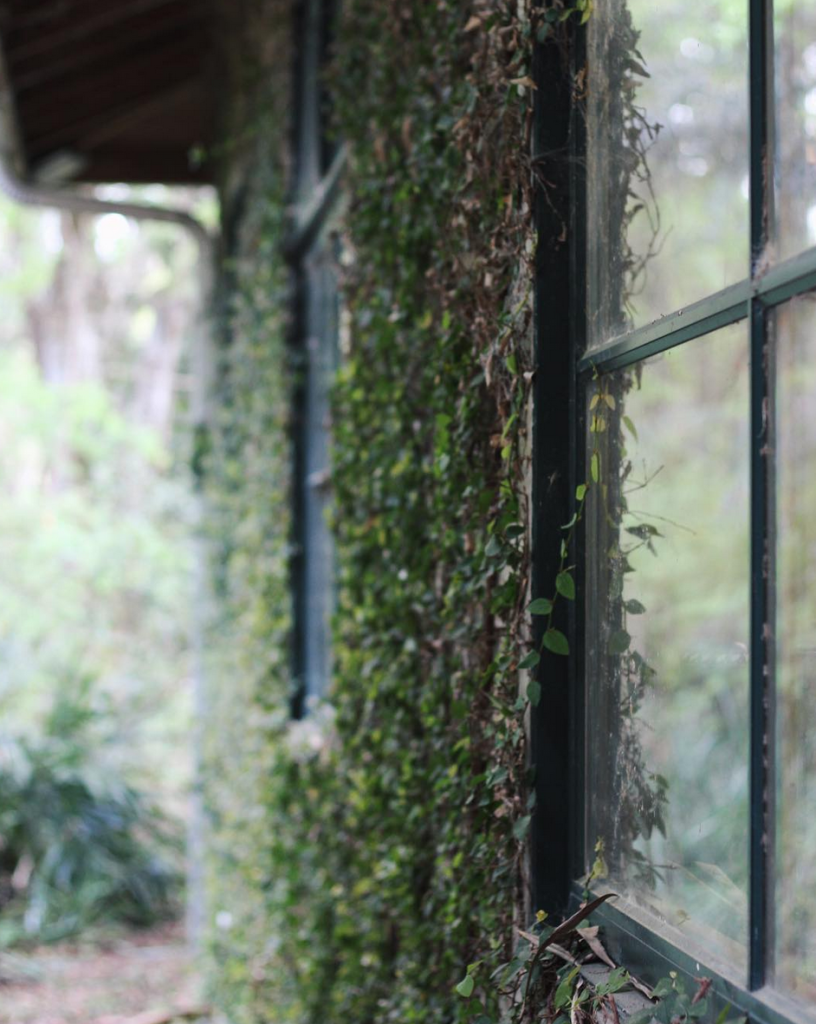 Screen Shot 2016-04-04 at 3.11.33 PM