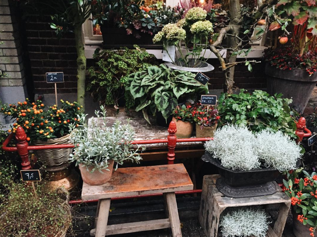 Screen Shot 2016-04-04 at 3.13.18 PM