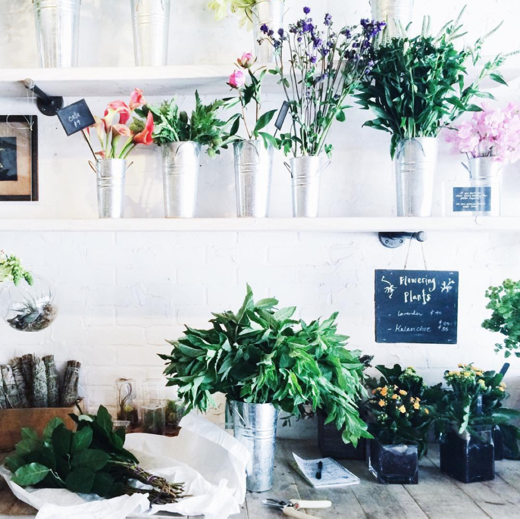 Screen Shot 2016-04-04 at 3.13.49 PM