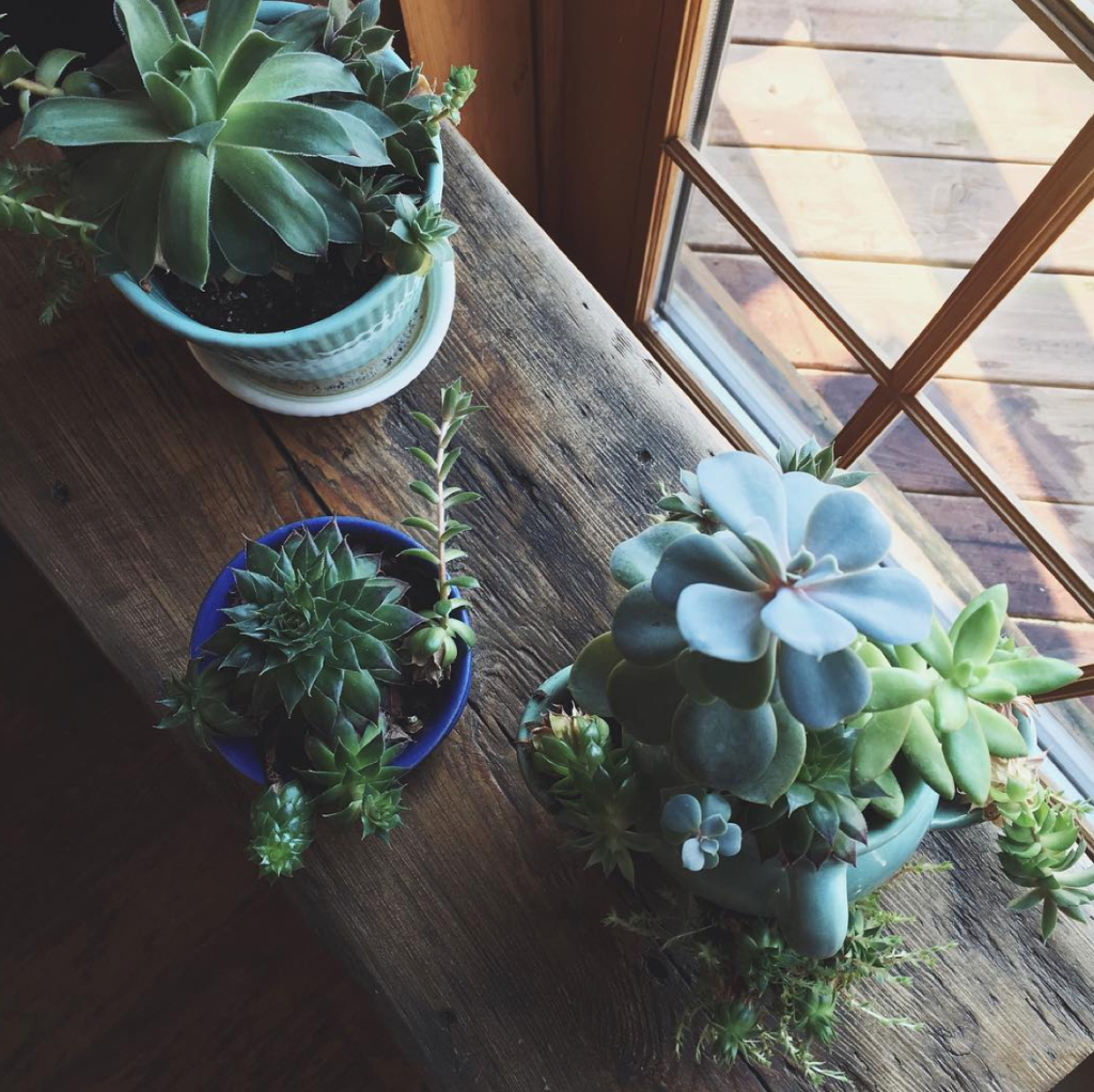 Screen Shot 2016-04-04 at 3.56.15 PM