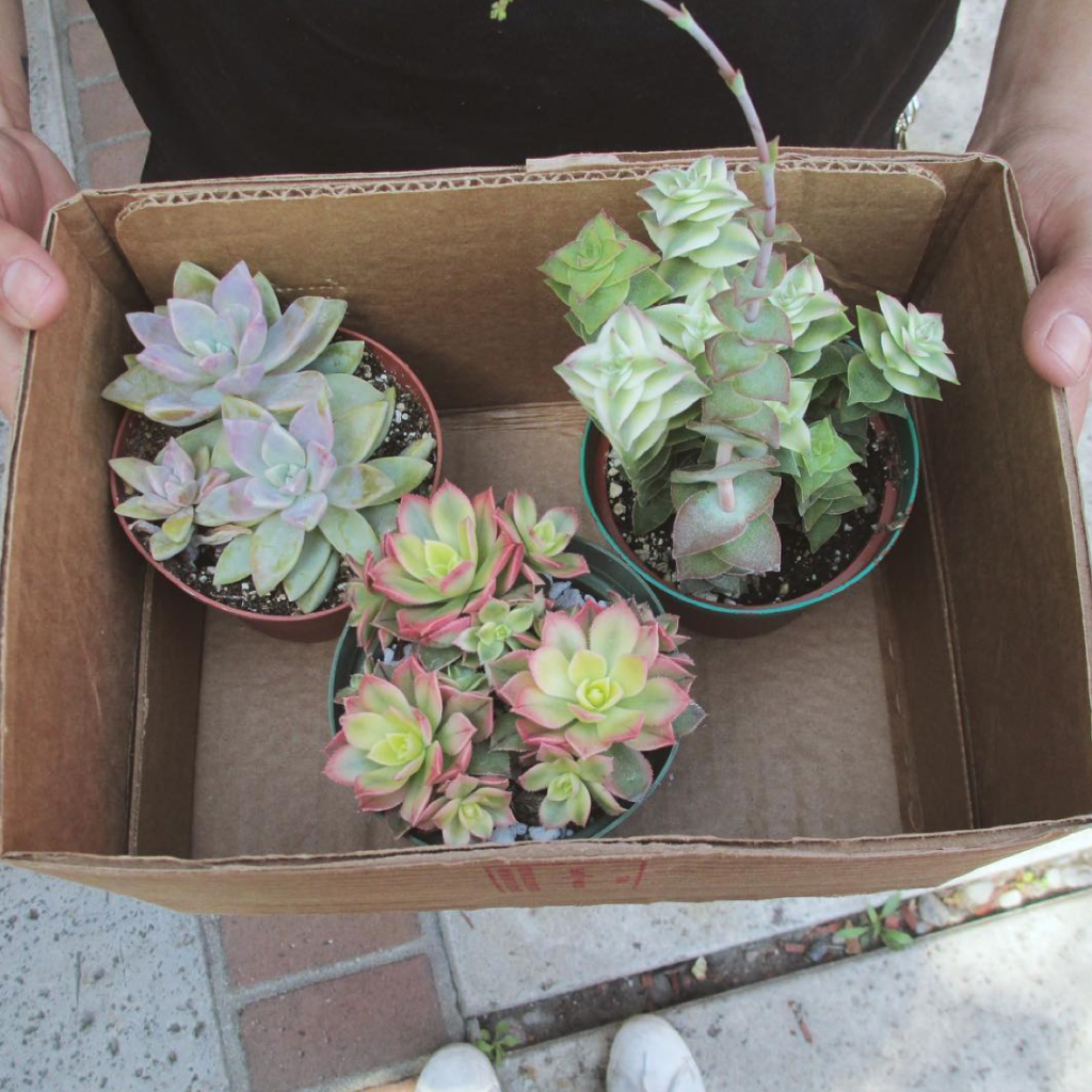 Screen Shot 2016-04-04 at 3.56.43 PM