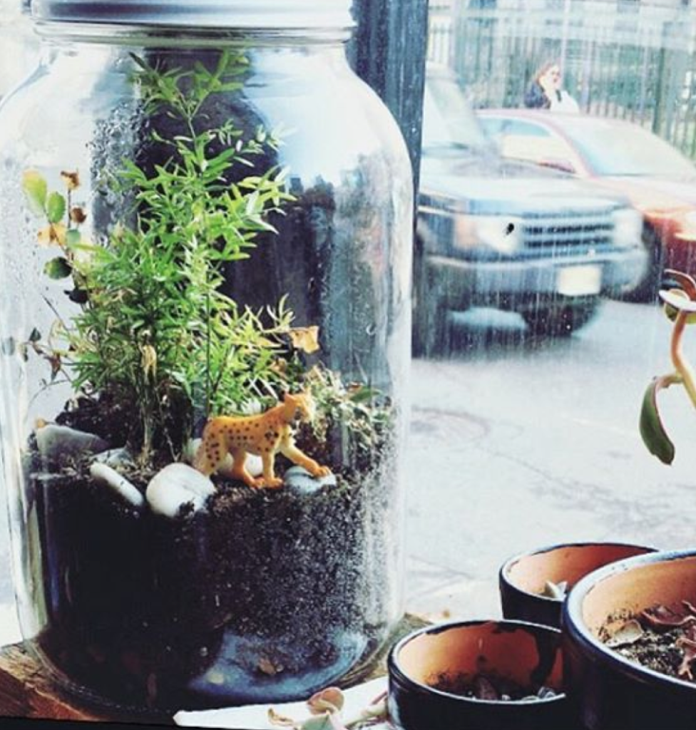 Five Easy Ways To Bring The Outdoors Indoors 8 Screen Shot 2016-04-06 at 10.22.45 PM