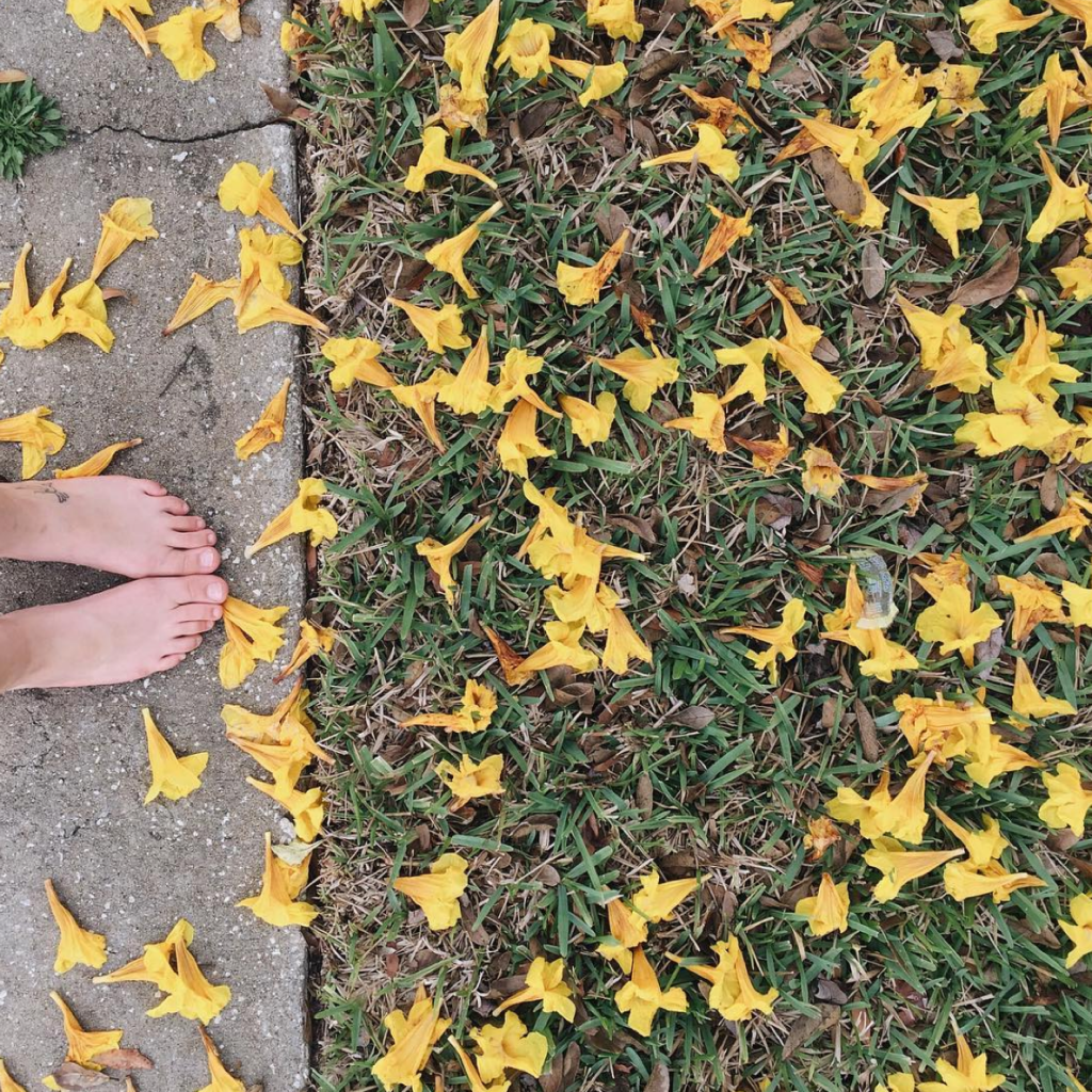 EARTH DAY—14 Images To Inspire You To Get Involved 16 Screen Shot 2016-04-21 at 1.32.04 PM