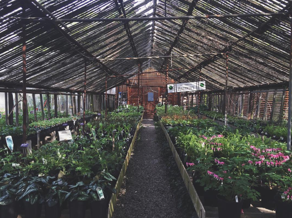 EARTH DAY—14 Images To Inspire You To Get Involved 22 Screen Shot 2016-04-21 at 1.35.04 PM