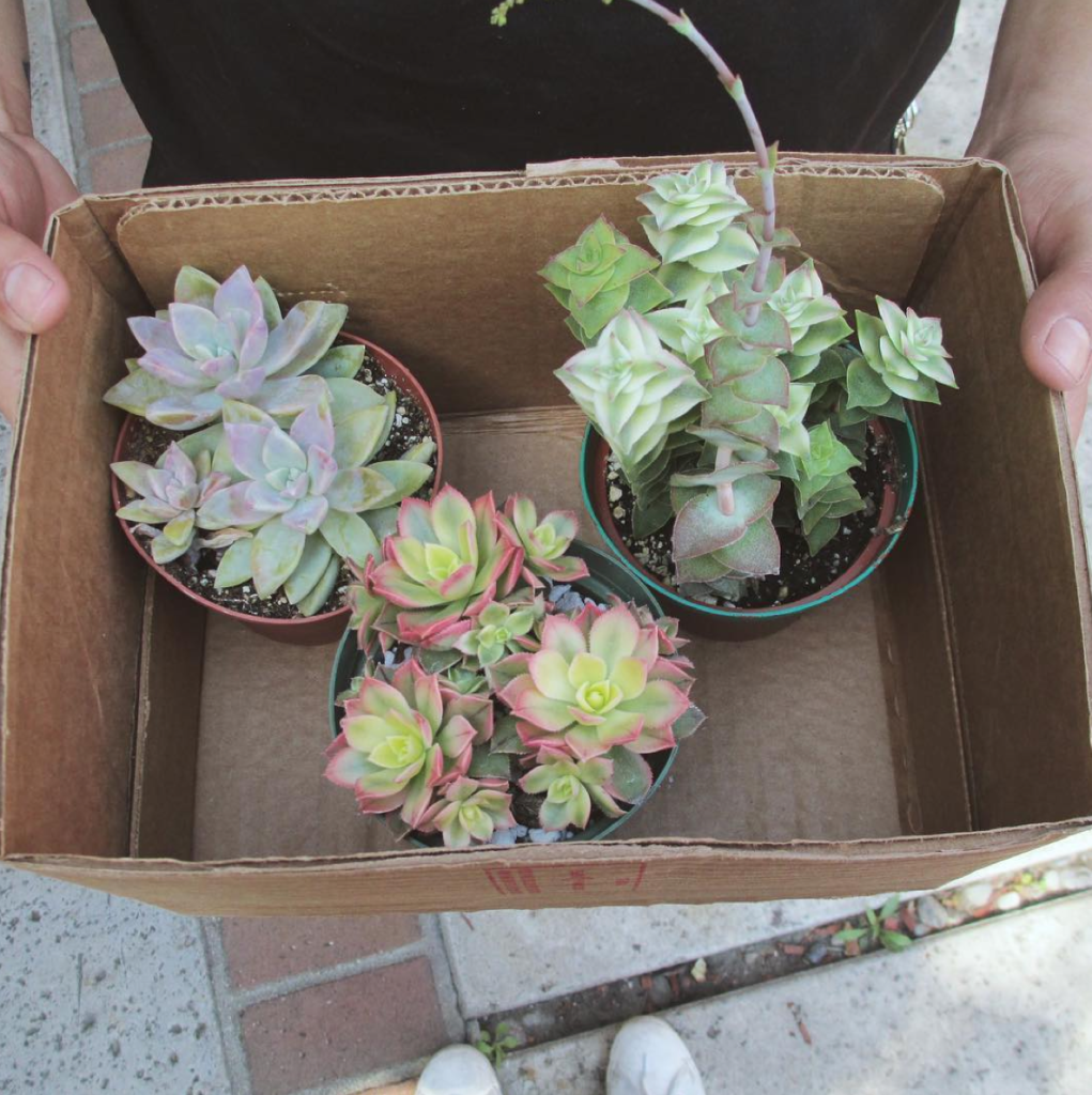 EARTH DAY—14 Images To Inspire You To Get Involved 28 Screen Shot 2016-04-21 at 1.38.25 PM