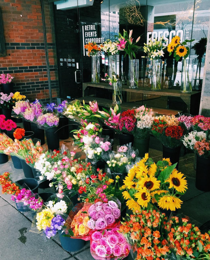 Screen Shot 2016-04-21 at 10.40.25 PM