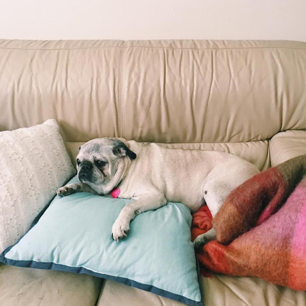 Thirteen Photos That Perfectly Address Finals 20 Screen Shot 2016-05-03 at 12.27.57 PM