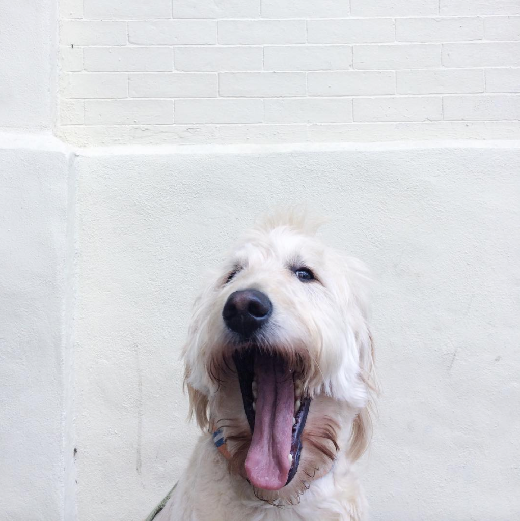 Thirteen Photos That Perfectly Address Finals 23 Screen Shot 2016-05-03 at 12.29.32 PM