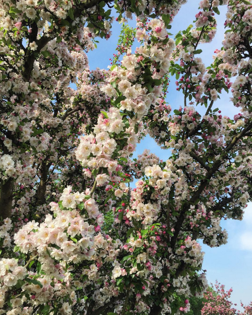 Screen Shot 2016-05-19 at 1.37.35 PM