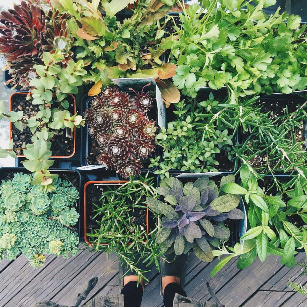 The One Thing in Every Fashionista's Living Space You Need to Get ASAP! 10 Screen Shot 2016-05-24 at 11.16.27 AM