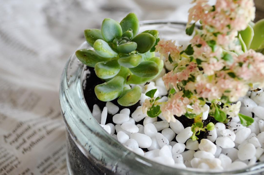 The One Thing in Every Fashionista's Living Space You Need to Get ASAP! 14 Screen Shot 2016-05-24 at 11.18.57 AM