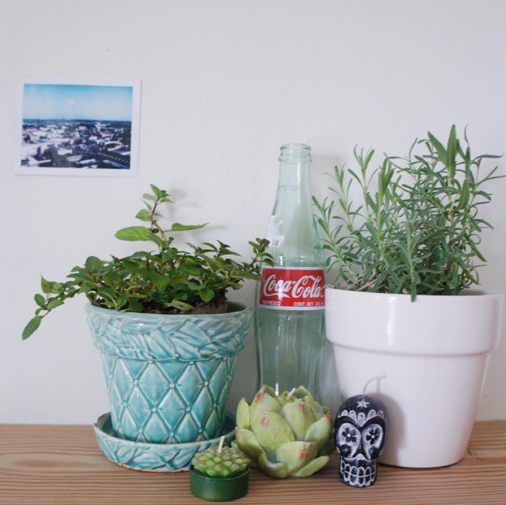 The One Thing in Every Fashionista's Living Space You Need to Get ASAP! 15 Screen Shot 2016-05-24 at 11.19.26 AM