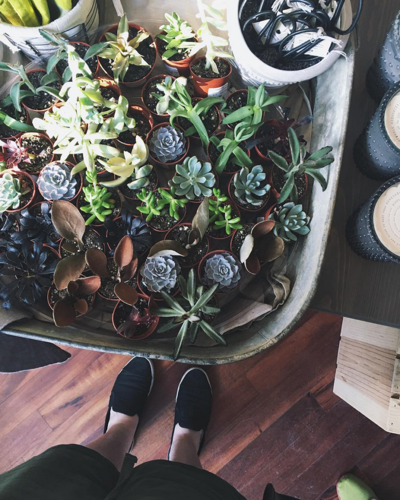 The One Thing in Every Fashionista's Living Space You Need to Get ASAP! 17 Screen Shot 2016-05-24 at 11.20.25 AM