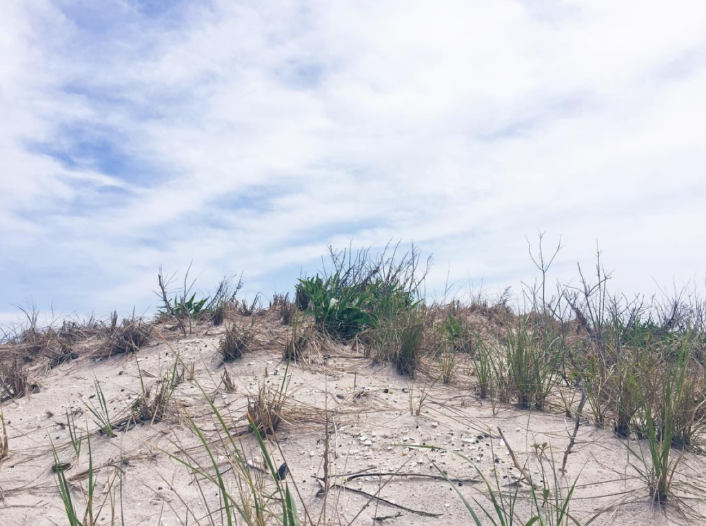 Screen Shot 2016-05-26 at 12.24.08 PM