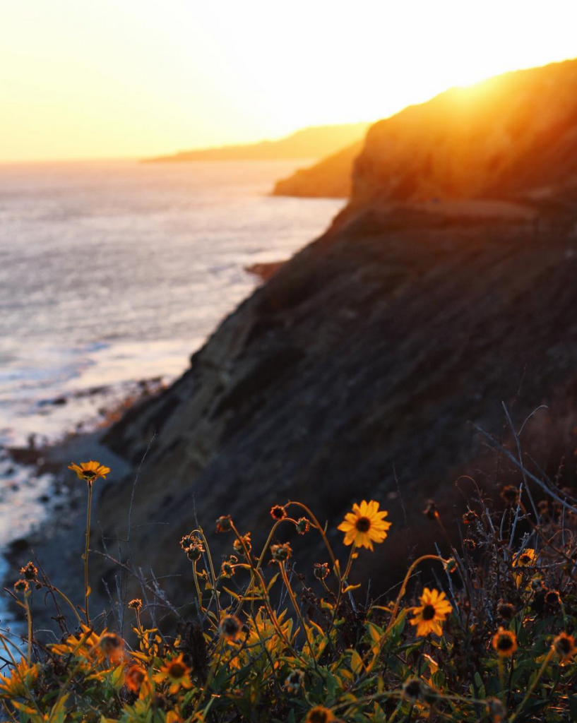 Screen Shot 2016-05-26 at 12.28.44 PM