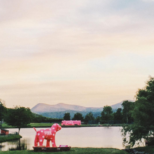 Get Lost! Go Wild! 6 CampPINK6