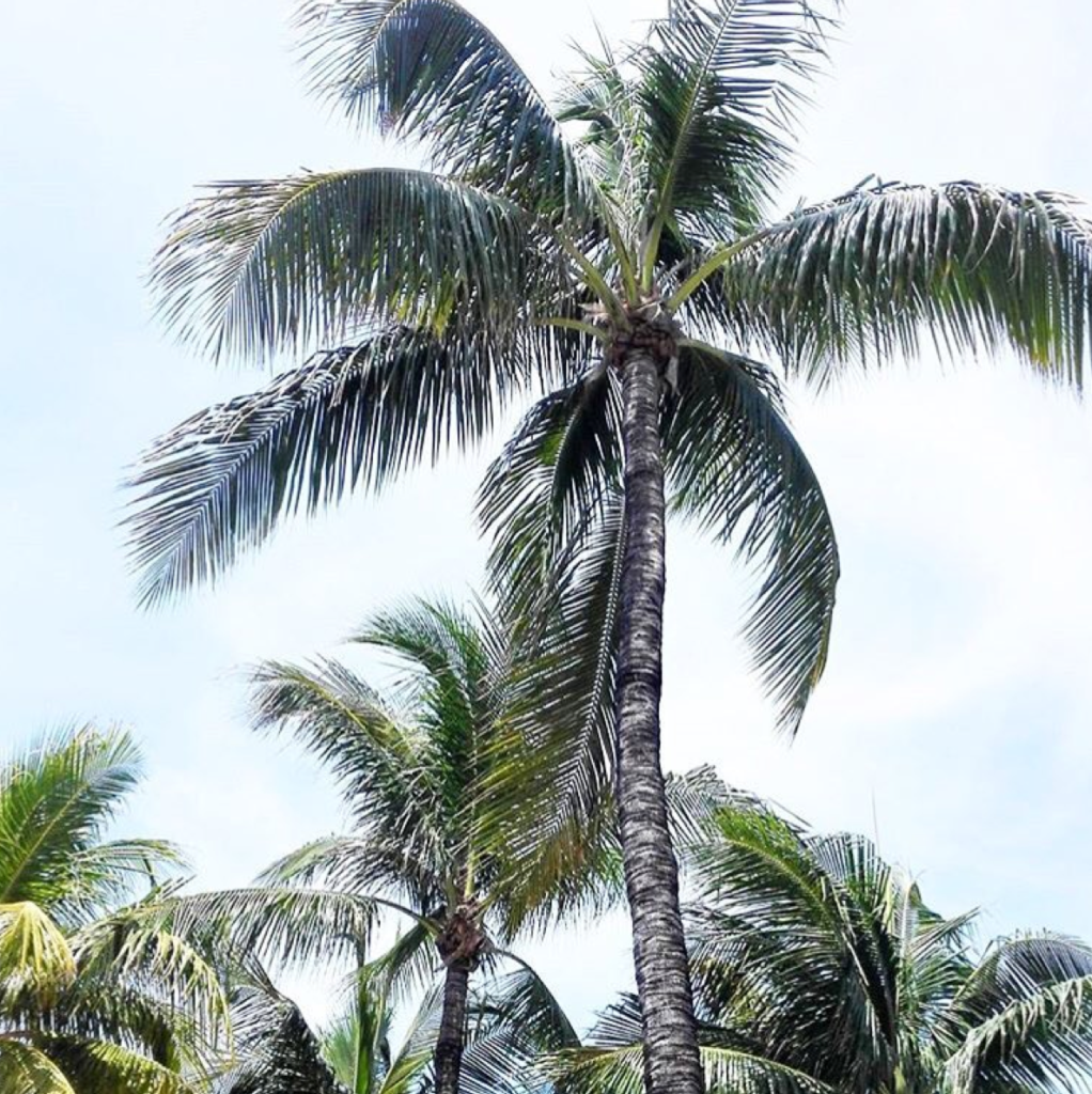 Currently Channeling—Life's a Beach! 13 Screen Shot 2016-06-12 at 8.22.02 PM