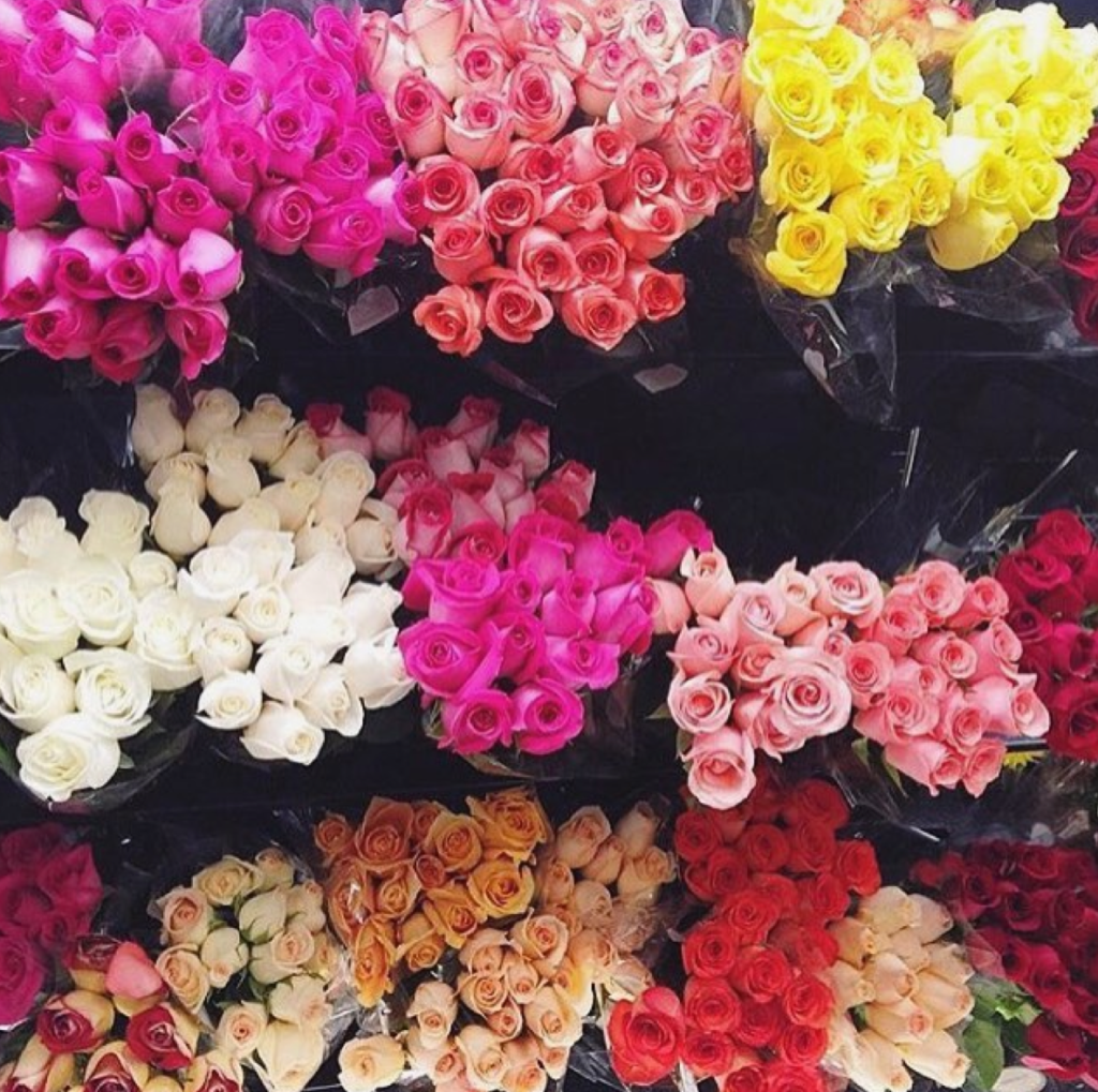 Screen Shot 2016-06-21 at 12.20.55 PM