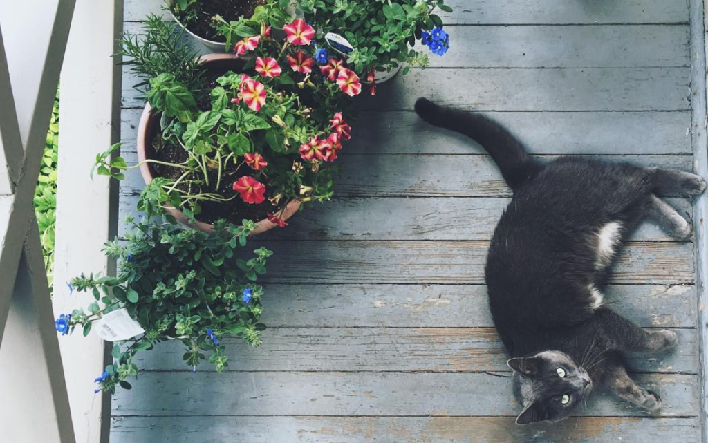 Check Out These Trending Style Guru Instagram Photos 24 Screen Shot 2016-07-05 at 4.50.22 PM