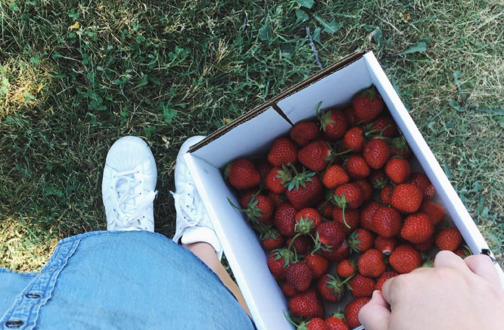 20 Ways to Ensure You Have The BEST SUMMER EVER! 27 Screen Shot 2016-07-06 at 1.42.42 PM