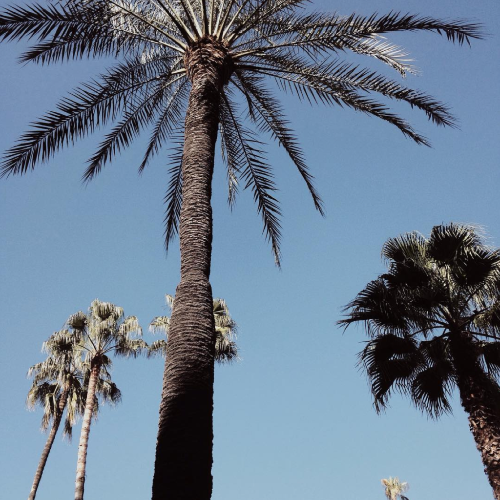 20 Ways to Ensure You Have The BEST SUMMER EVER! 39 Screen Shot 2016-07-06 at 2.16.15 PM