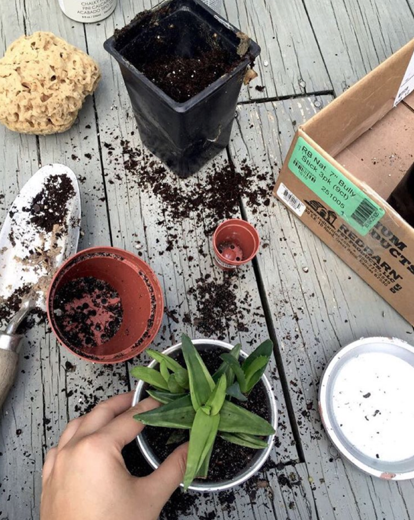 Screen Shot 2016-07-06 at 7.15.44 PM