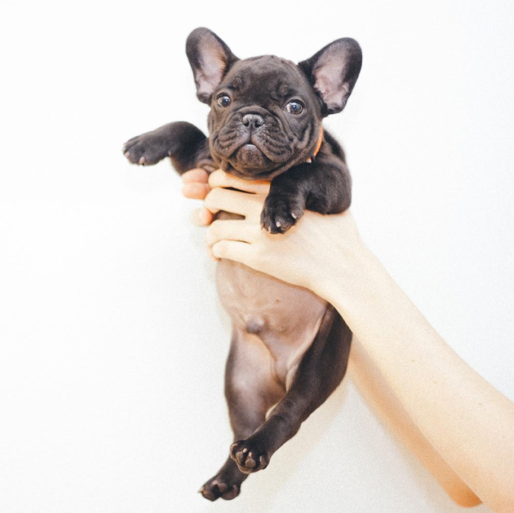 Trending @ CollegeFashionista—Five Accounts We Are Currently Obsessed With 9 Screen Shot 2016-07-17 at 8.56.43 PM