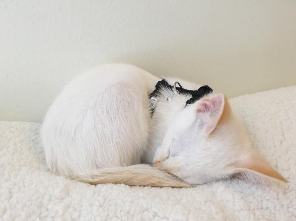 The Importance of a Morning Routine 15 Screen Shot 2016-08-22 at 10.43.02 AM