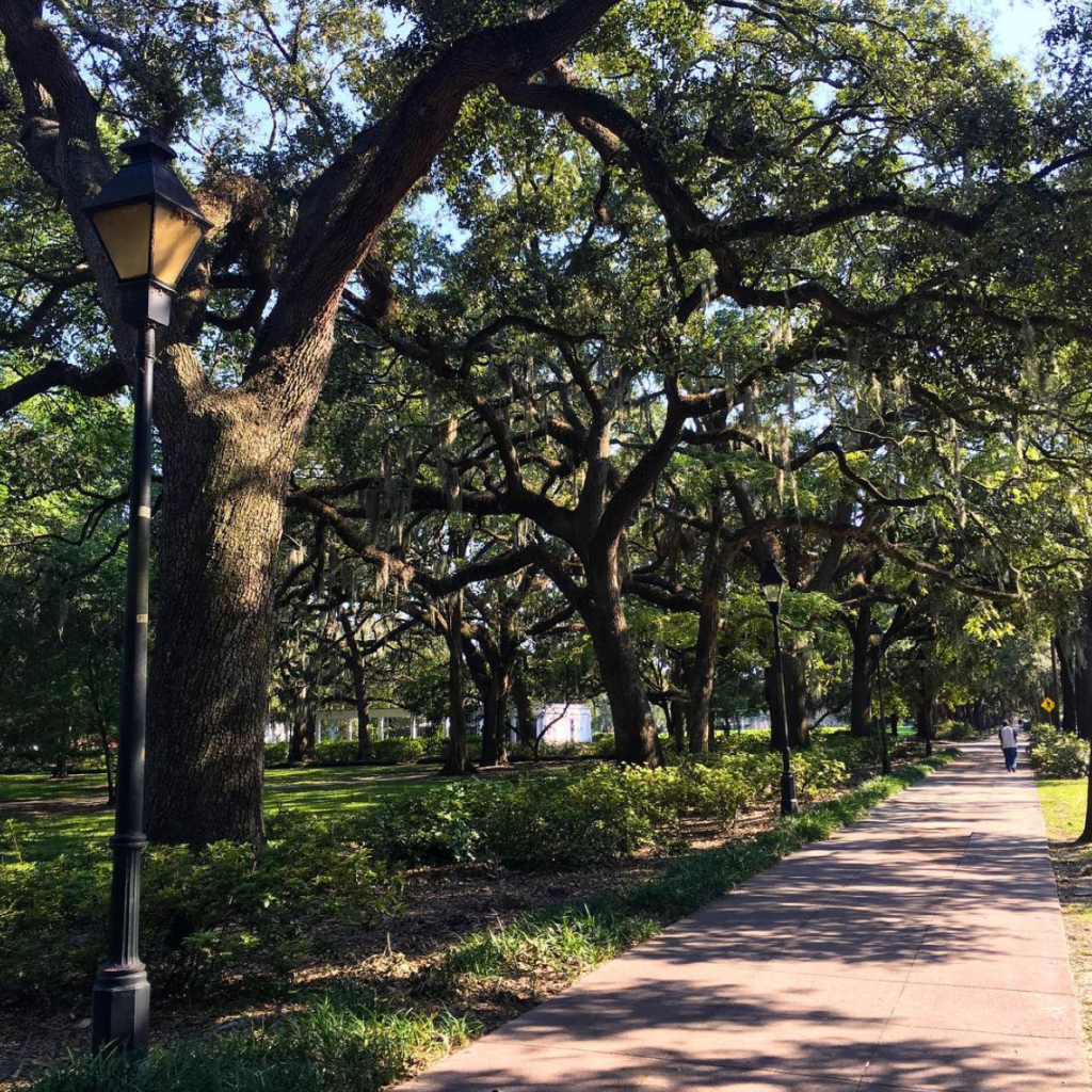 Gorgeous Campus Alert! 24 Screen Shot 2016-09-08 at 1.23.12 PM