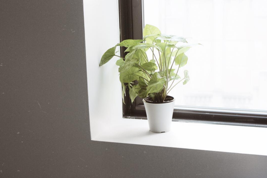 These Trending Style Guru Instagram Photos Have Us Double Tapping 25 screen-shot-2016-09-14-at-3-08-54-pm