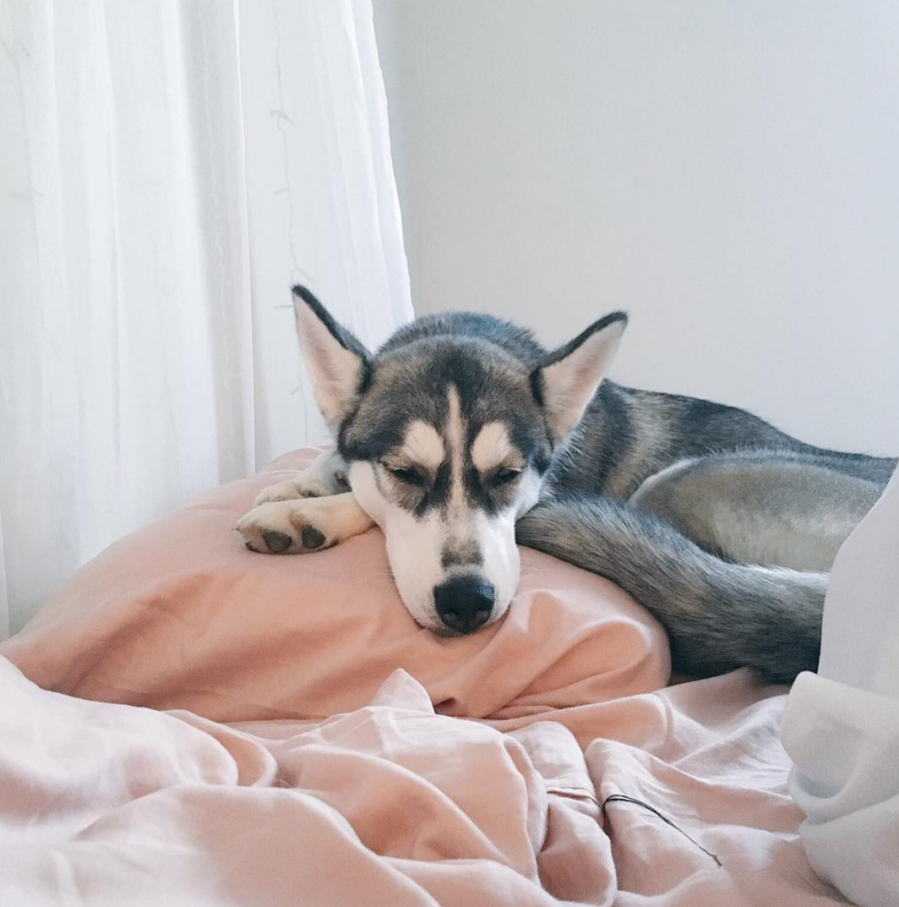 This Is The Best Thing Happening To College Students This Month 21 screen-shot-2016-10-20-at-9-42-29-pm