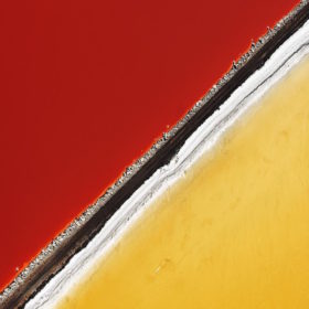 Get Inside Our Heads. Check Out What We're Digging Right Now! 11