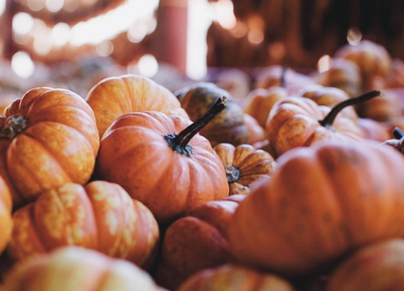 Nine Underrated Reasons Why Fall Is the Best Season 11 screenshot-2016-10-09-15-34-37