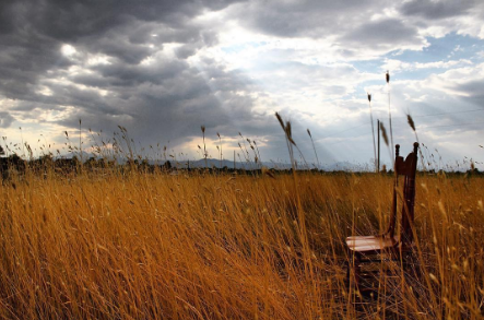 Nine Underrated Reasons Why Fall Is the Best Season 12 screenshot-2016-10-09-15-49-02