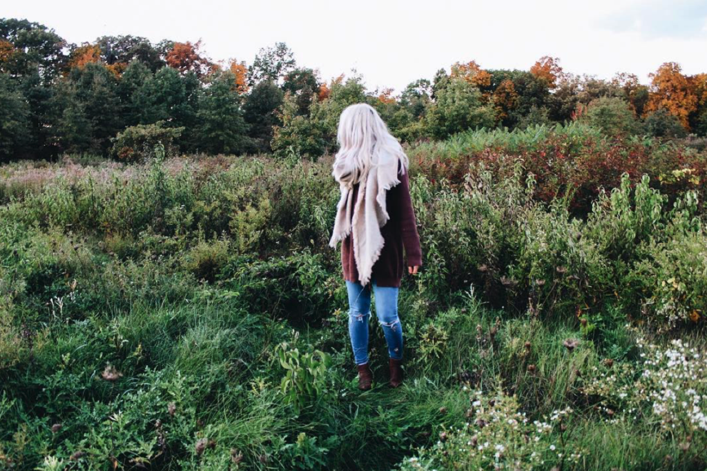 screen-shot-2016-11-04-at-5-50-57-pm