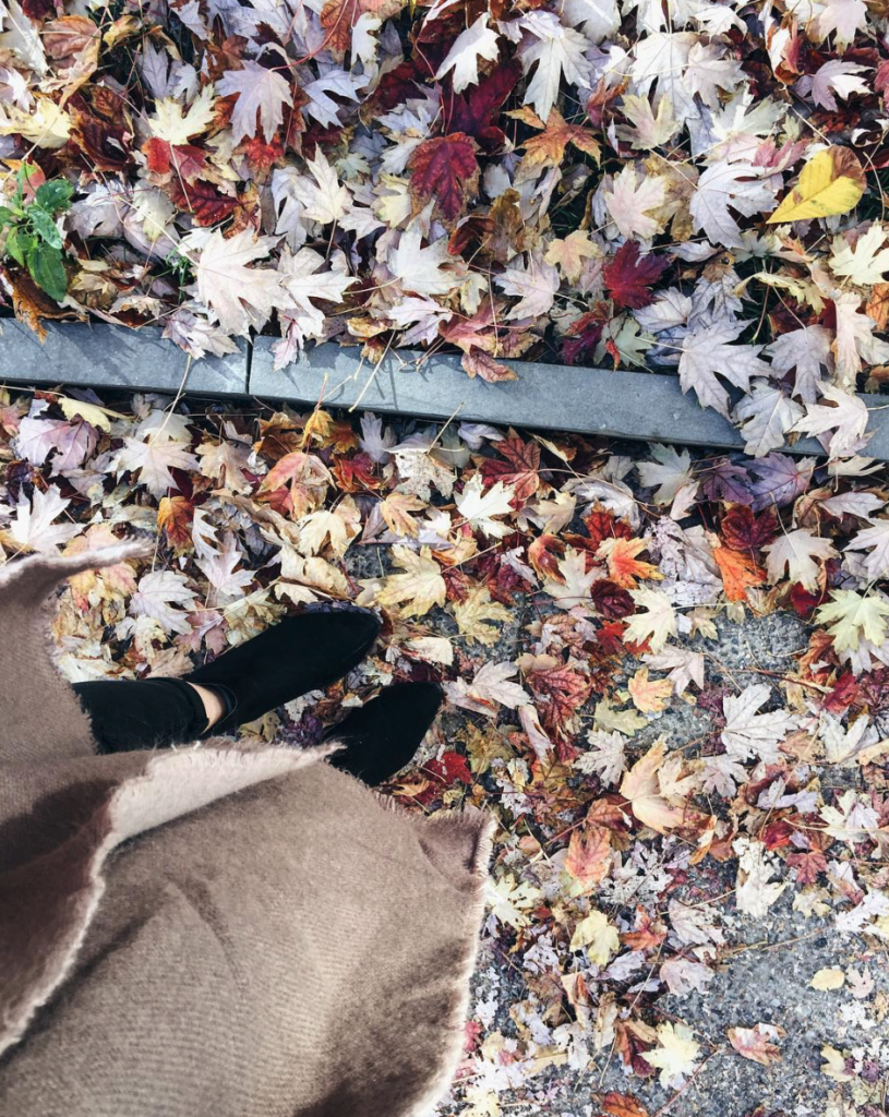 screen-shot-2016-11-08-at-3-20-55-pm