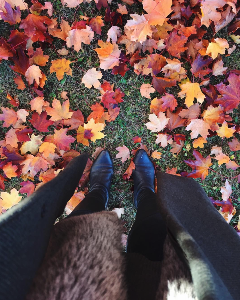 screen-shot-2016-11-08-at-3-22-16-pm