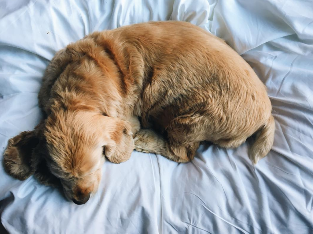 These Trending Style Guru Instagram Photos Have Us Double Tapping 19 screen-shot-2016-11-16-at-12-02-15-pm