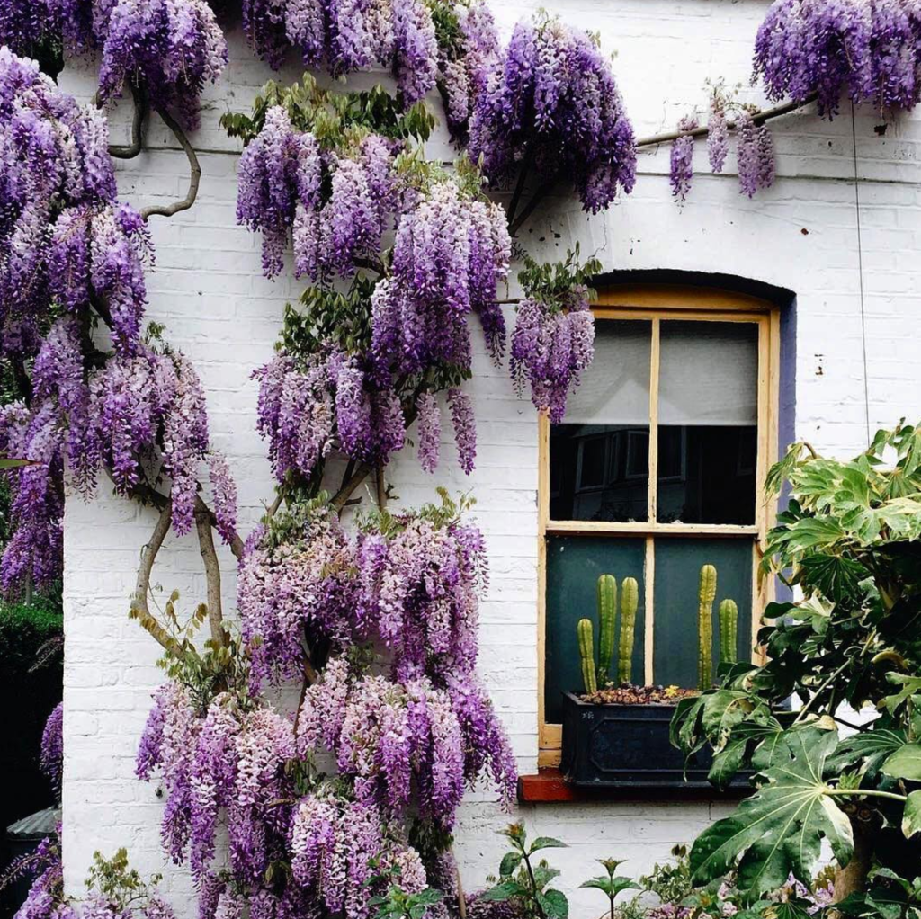 These Trending Style Guru Instagram Photos Have Us Double Tapping 23 screen-shot-2016-11-16-at-12-03-49-pm